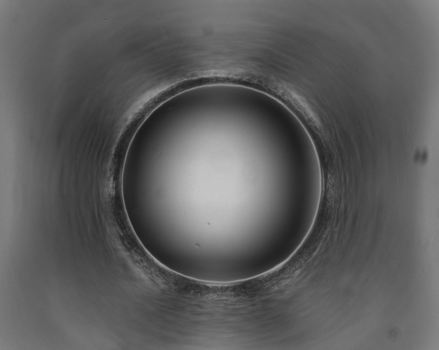 X0000093150628200709261446