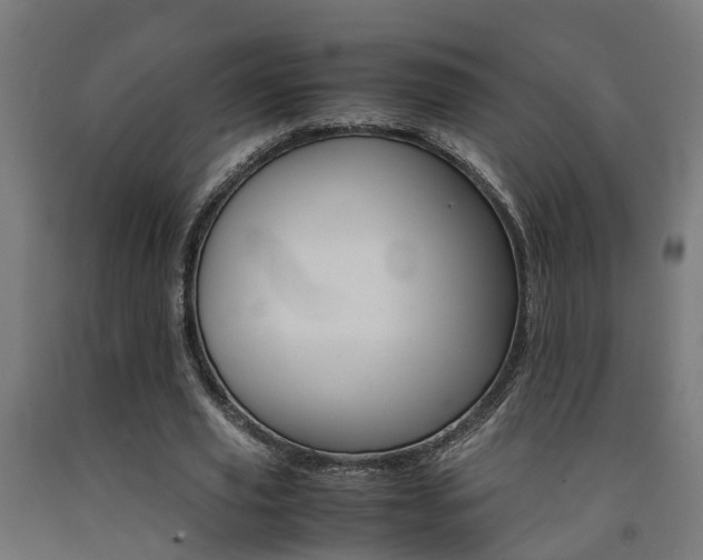 X0000093150629200709261446