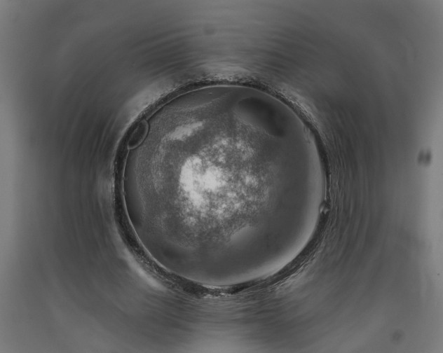 X0000093150630200709261446