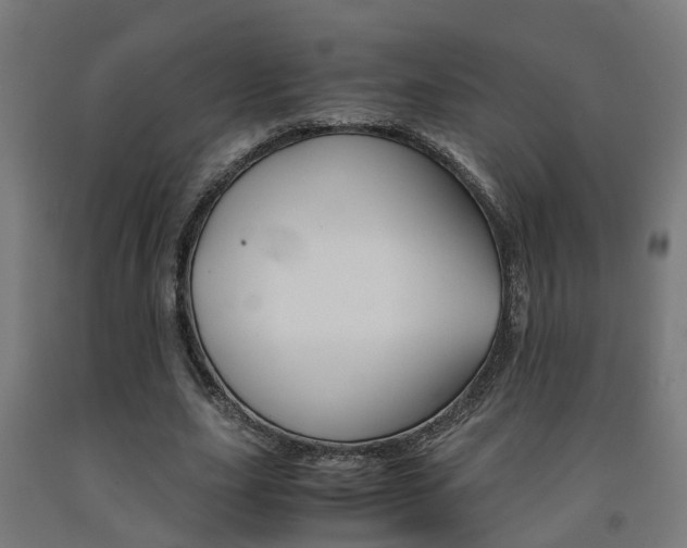 X0000093150631200709261446