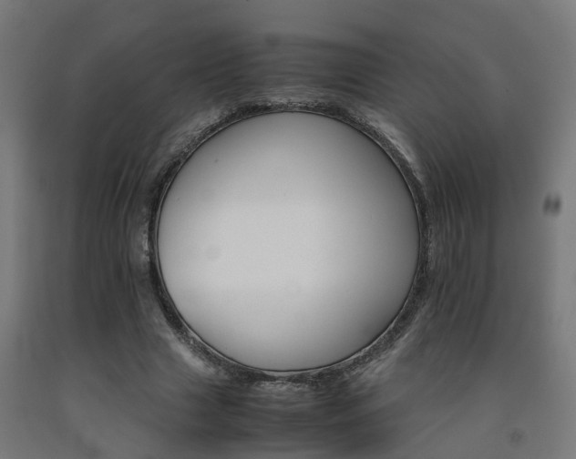 X0000093150633200709261446