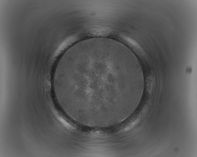 X0000093150634200709261446