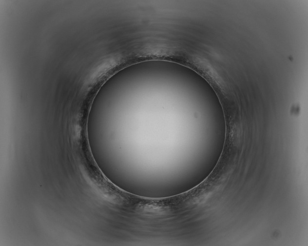 X0000093150635200709261446