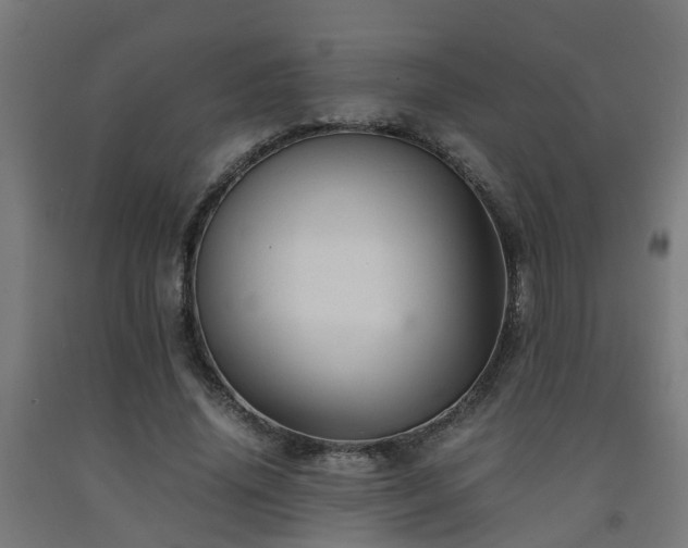 X0000093150636200709261446