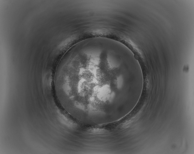 X0000093150637200709261446