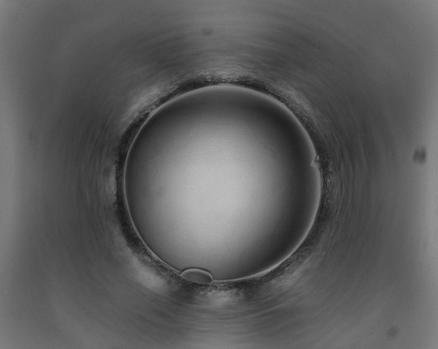 X0000093150638200709261446