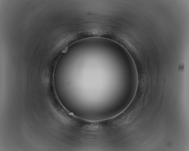 X0000093150639200709261446