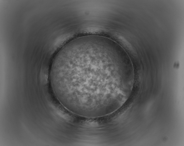 X0000093150640200709261446