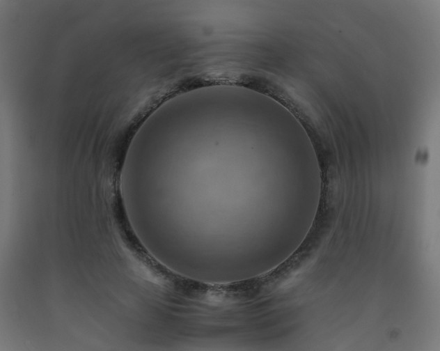 X0000093150641200709261446