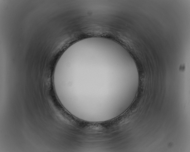 X0000093150642200709261446