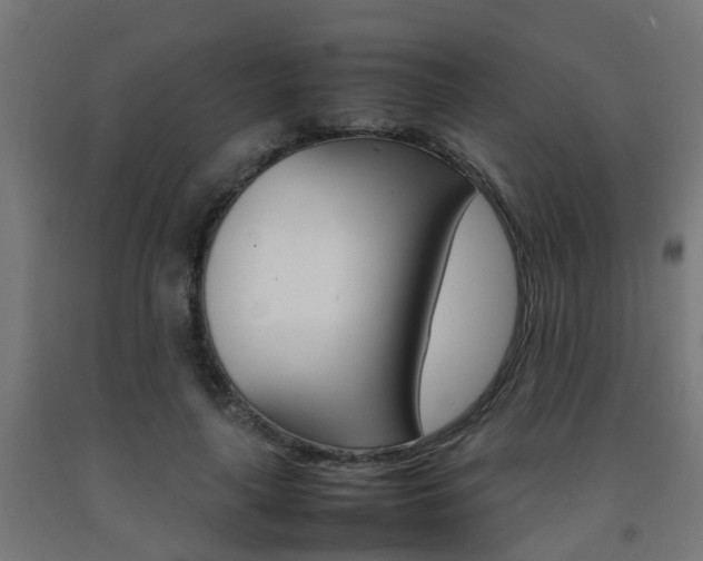 X0000093150643200709261446