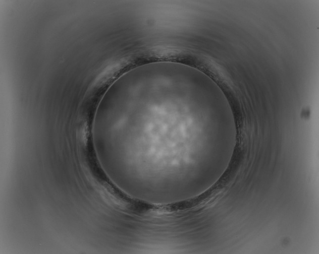 X0000093150644200709261446