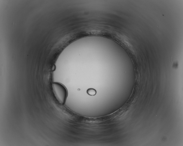 X0000093150645200709261446