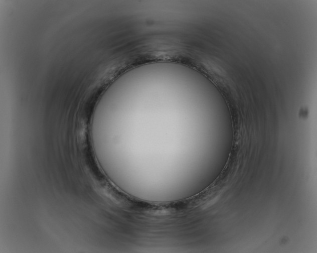 X0000093150646200709261446