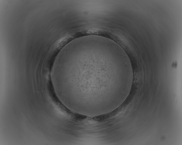 X0000093150648200709261446
