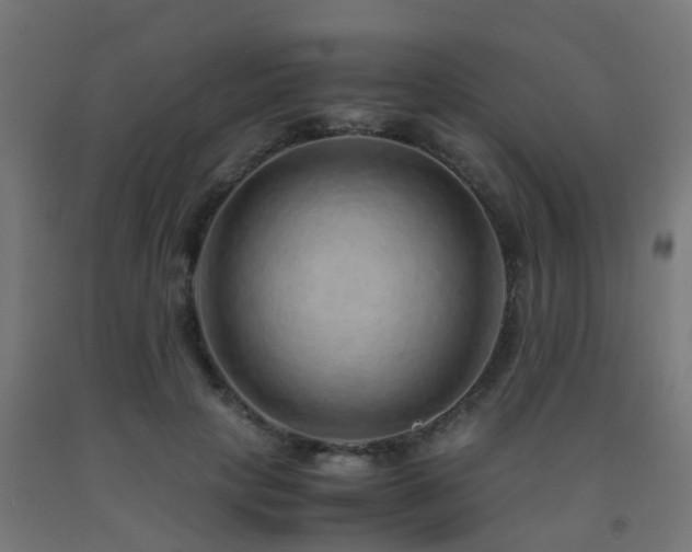 X0000093150649200709261446