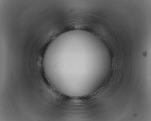 X0000093150650200709261446