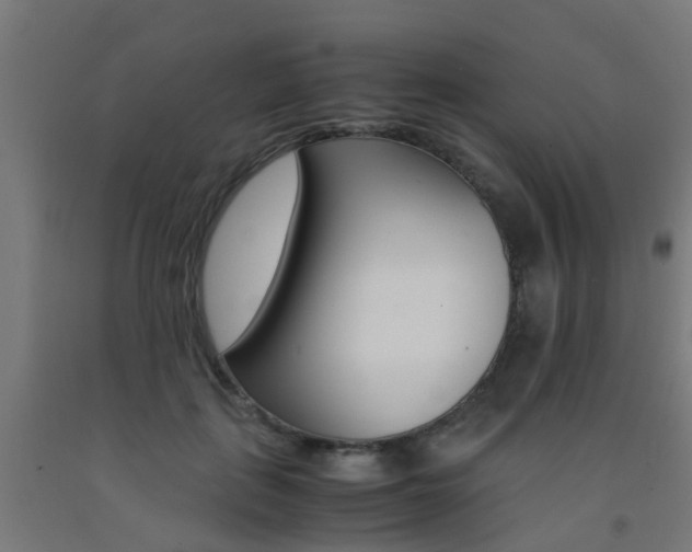 X0000093150651200709261446