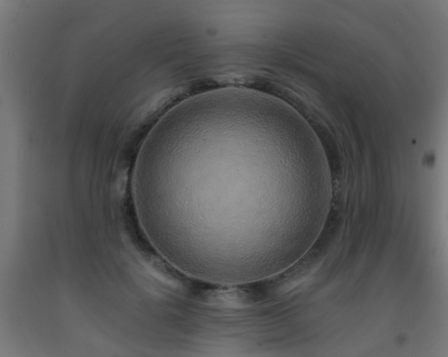 X0000093150652200709261446