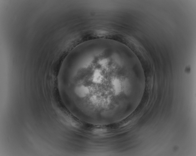 X0000093150653200709261447