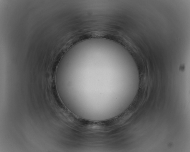 X0000093150655200709261447