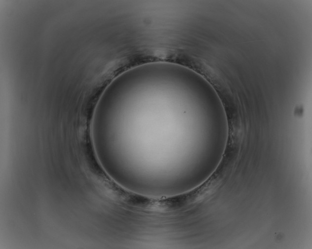 X0000093150656200709261447
