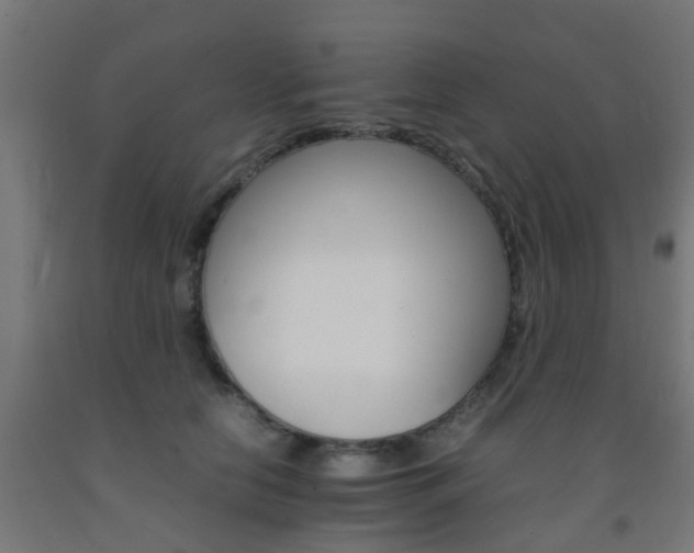 X0000093150658200709261447