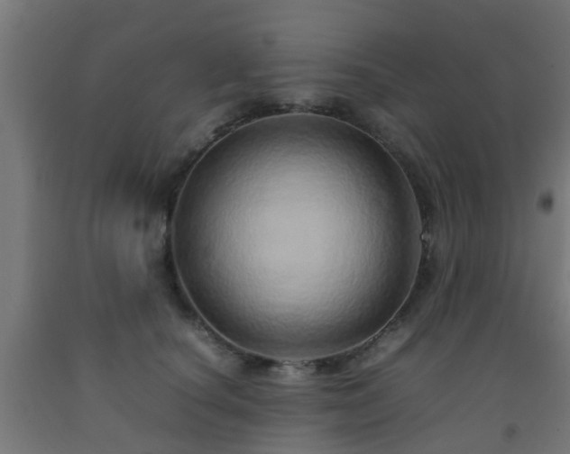 X0000093150660200709261447