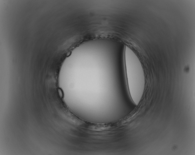 X0000093150661200709261447