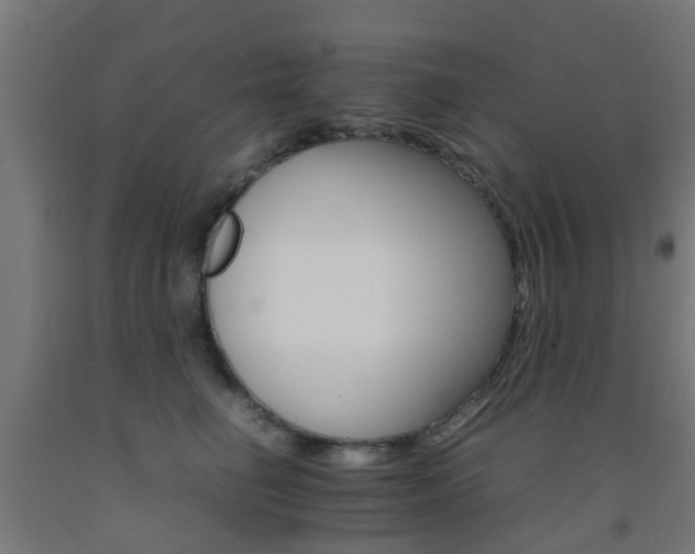 X0000093150662200709261447
