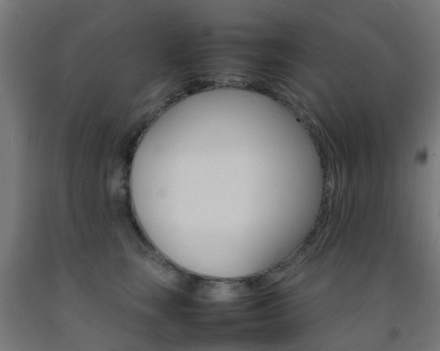 X0000093150663200709261447