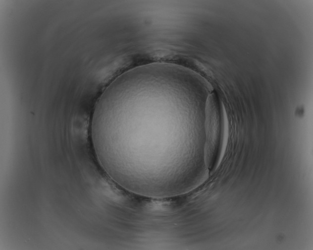 X0000093150664200709261447