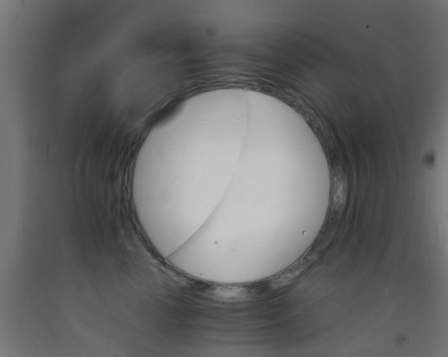 X0000093150666200709261447