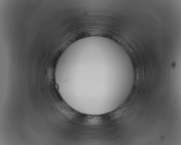 X0000093150667200709261447