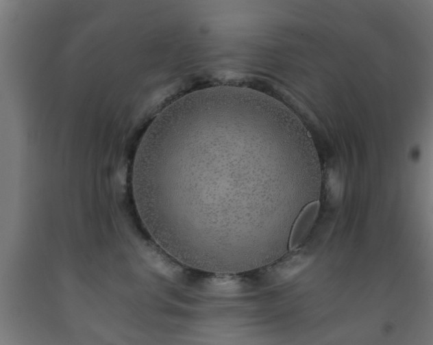 X0000093150668200709261447