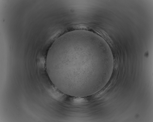 X0000093150669200709261447