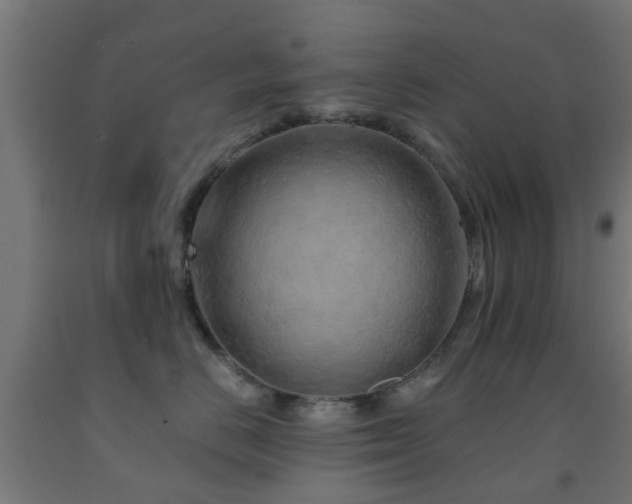 X0000093150670200709261447