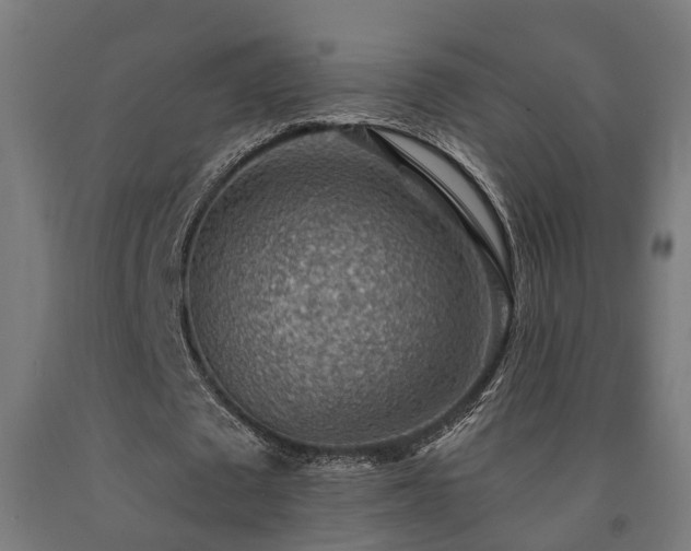 X0000093150673200709261446