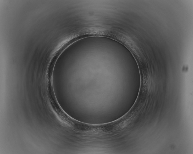 X0000093150674200709261446