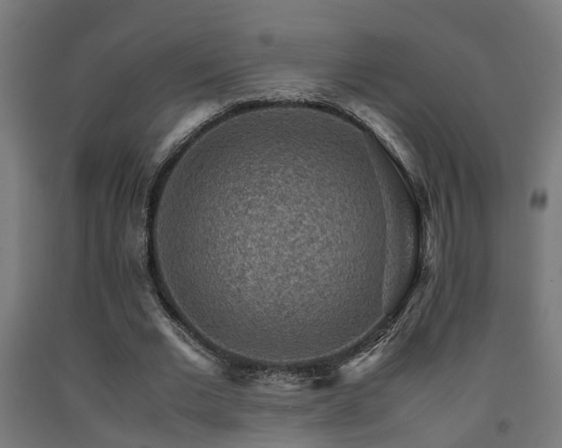 X0000093150677200709261446