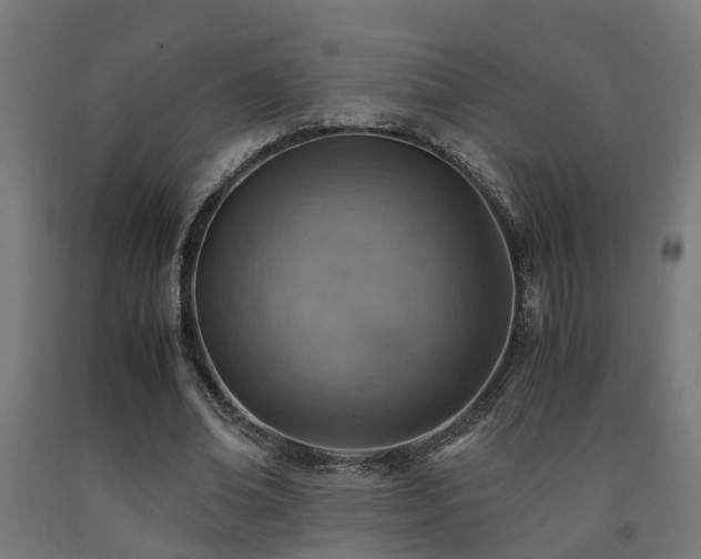 X0000093150678200709261446