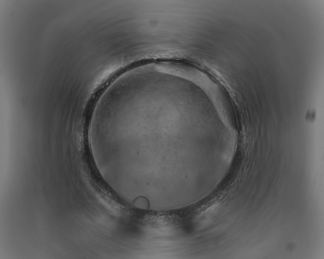 X0000093150679200709261446