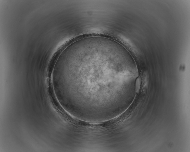 X0000093150680200709261446