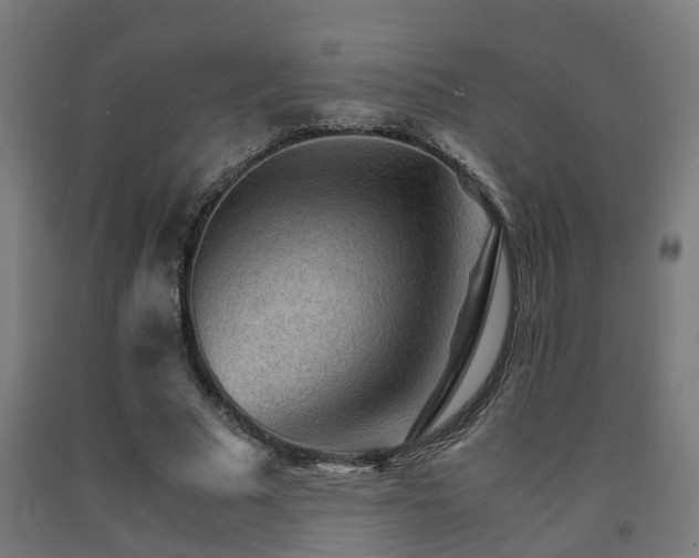 X0000093150681200709261446