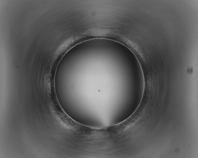X0000093150682200709261446