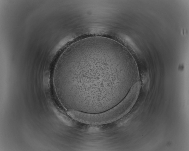 X0000093150684200709261446