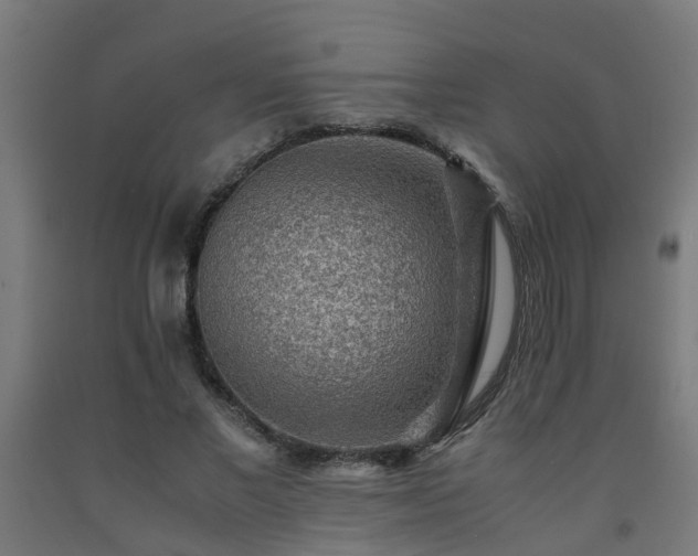 X0000093150685200709261446