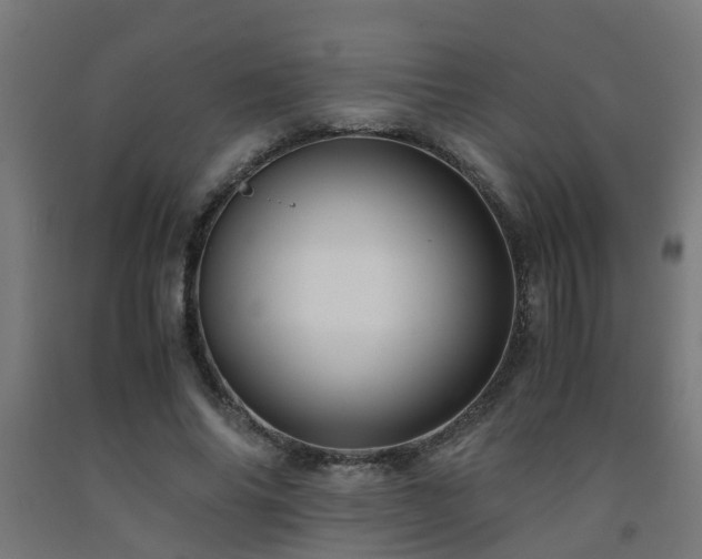 X0000093150686200709261446