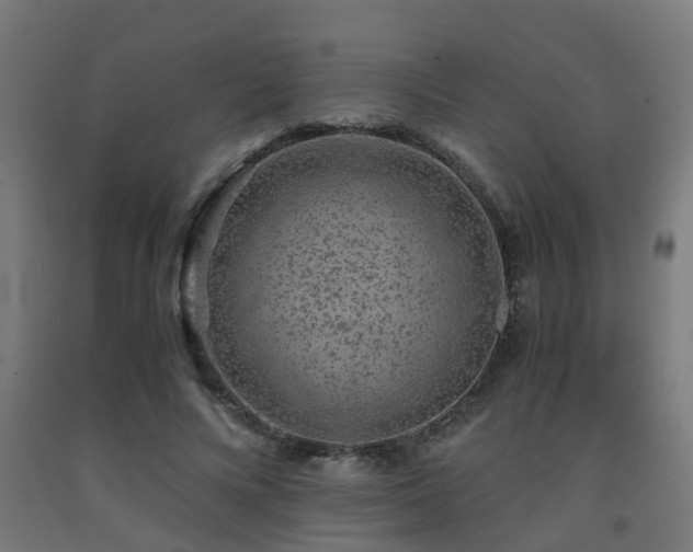 X0000093150688200709261446
