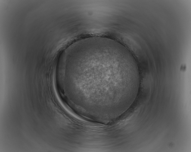 X0000093150689200709261446